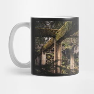 Abandoned Tin Mine Rolava #2 Mug